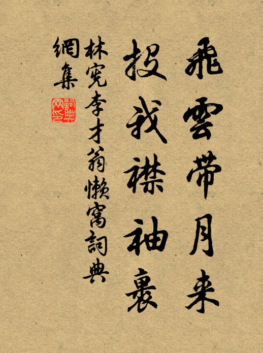 林宪飞云带月来，投我襟袖裹书法作品欣赏