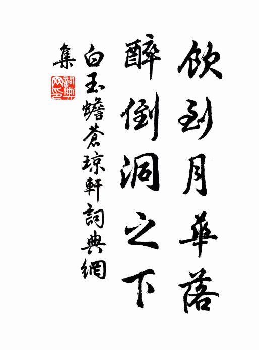 白玉蟾饮到月华落，醉倒洞之下书法作品欣赏