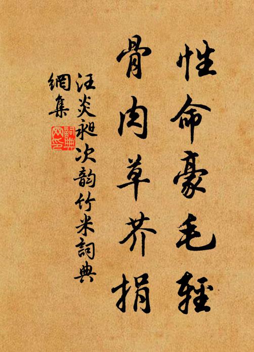 汪炎昶性命豪毛轻，骨肉草芥捐书法作品欣赏
