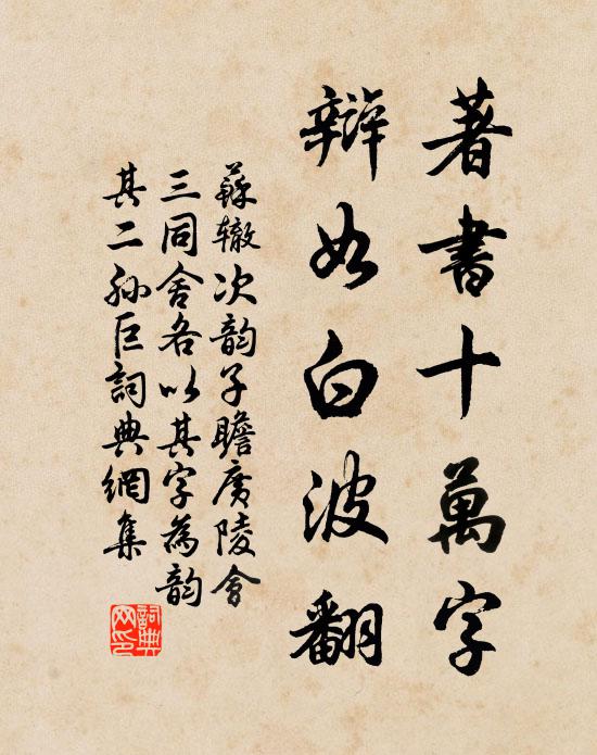 苏辙著书十万字，辩如白波翻书法作品欣赏