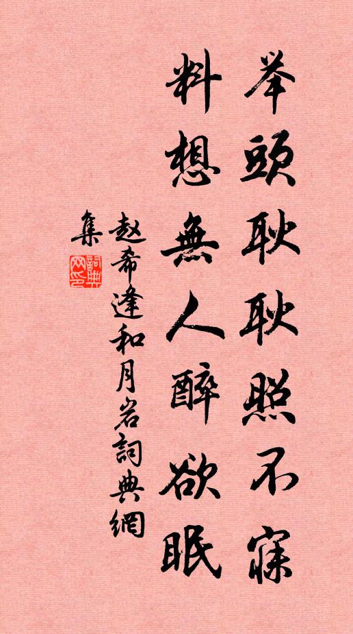 赵希逢举头耿耿照不寐，料想无人醉欲眠书法作品欣赏
