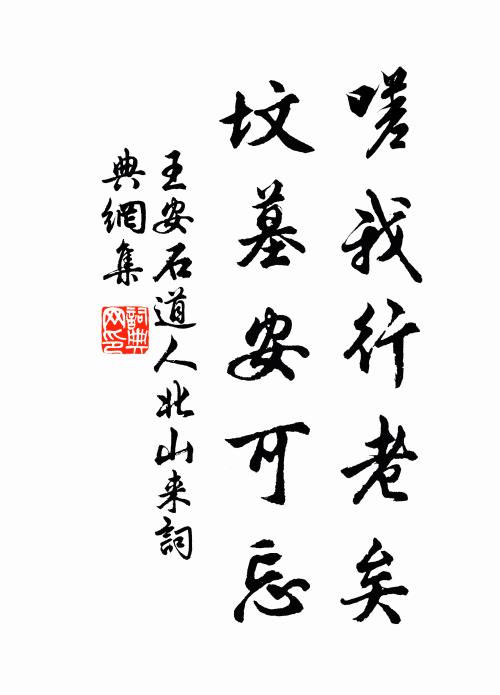 王安石嗟我行老矣，坟墓安可忘书法作品欣赏