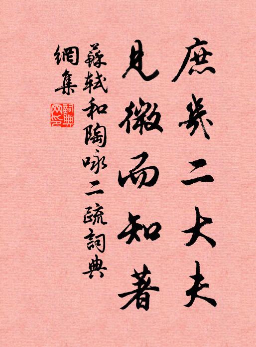 苏轼庶几二大夫，见微而知著书法作品欣赏