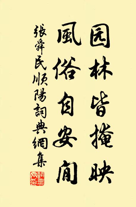 张舜民园林皆掩映，风俗自安閒书法作品欣赏