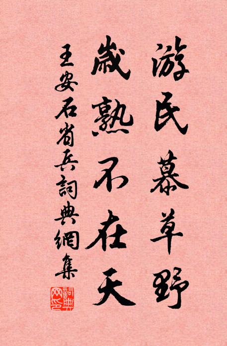 王安石游民慕草野，岁熟不在天书法作品欣赏