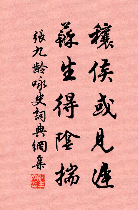 张九龄穰侯或见迟，苏生得阴揣书法作品欣赏