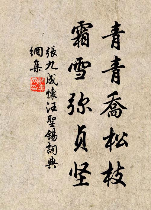 张九成青青乔松枝，霜雪弥贞坚书法作品欣赏