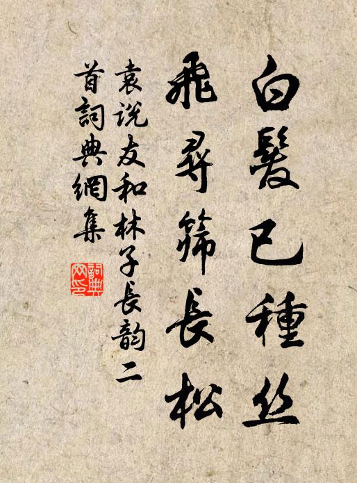 袁说友白发已种丝，飞寻筛长松书法作品欣赏