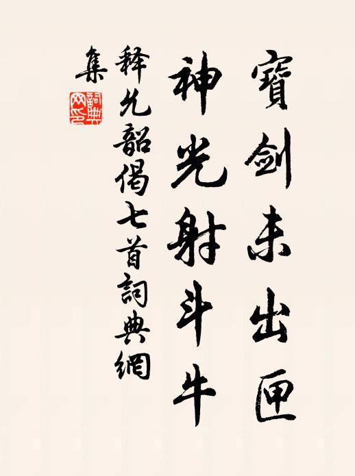 释允韶宝剑未出匣，神光射斗牛书法作品欣赏