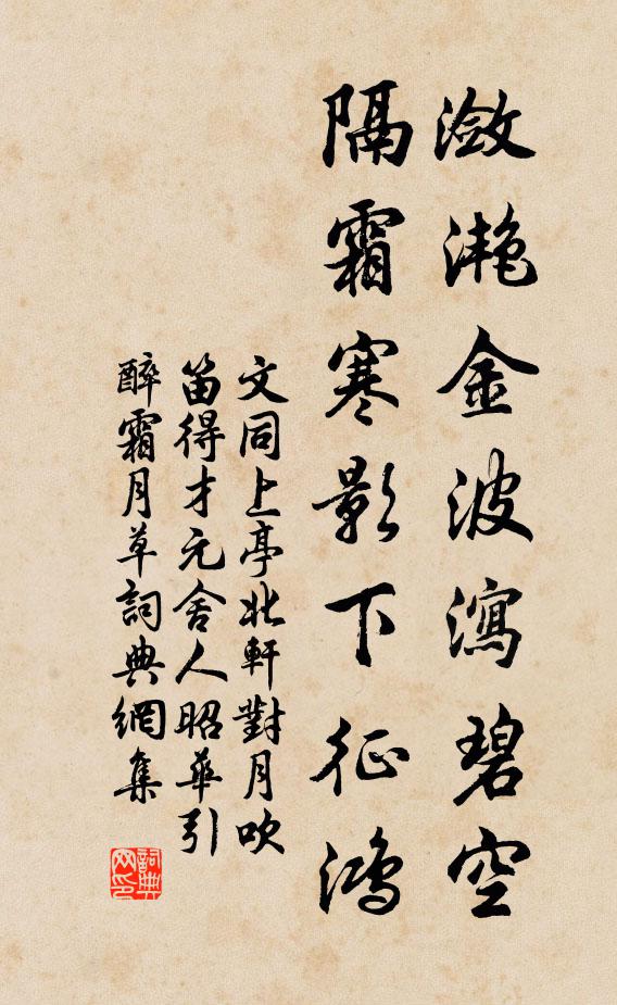 文同潋滟金波泻碧空，隔霜寒影下征鸿书法作品欣赏