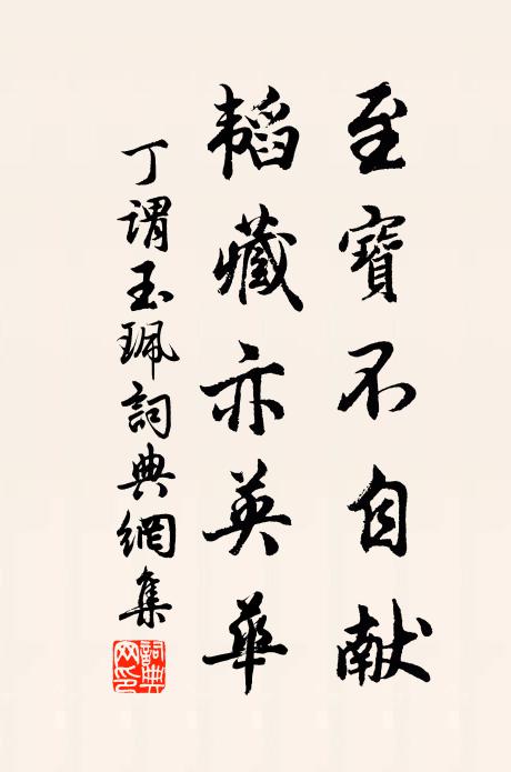 丁谓至宝不自献，韬藏亦英华书法作品欣赏