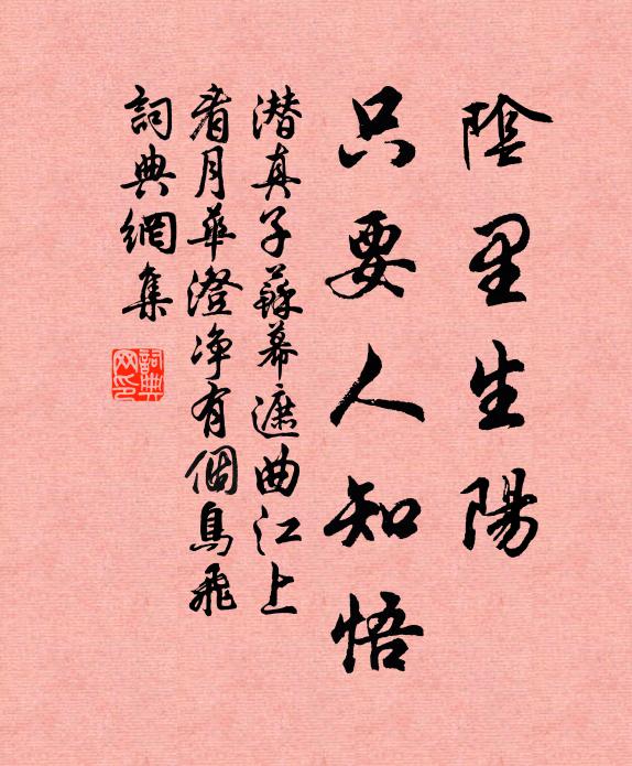 潜真子阴里生阳，只要人知悟书法作品欣赏