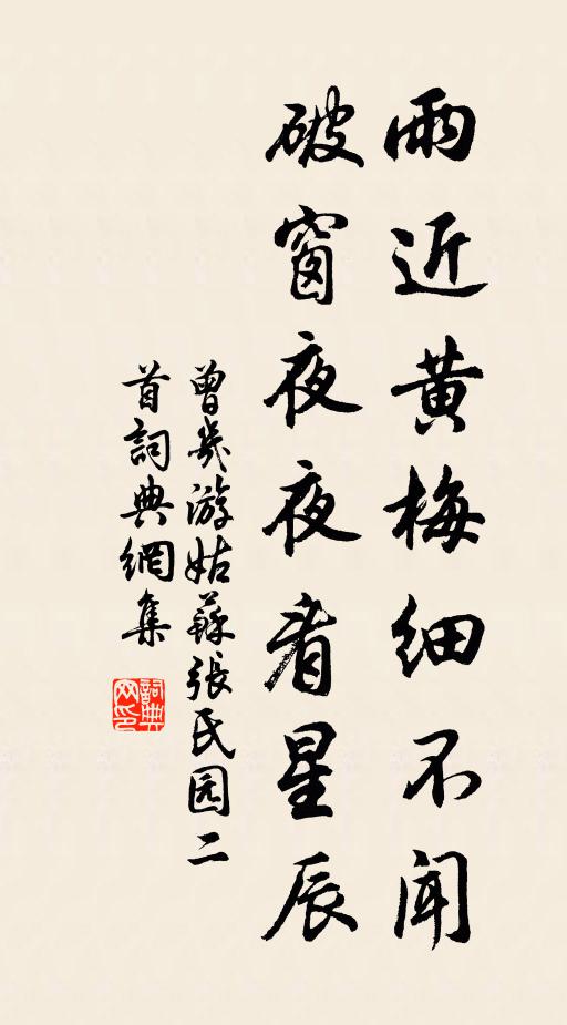 曾几雨近黄梅细不闻，破窗夜夜看星辰书法作品欣赏