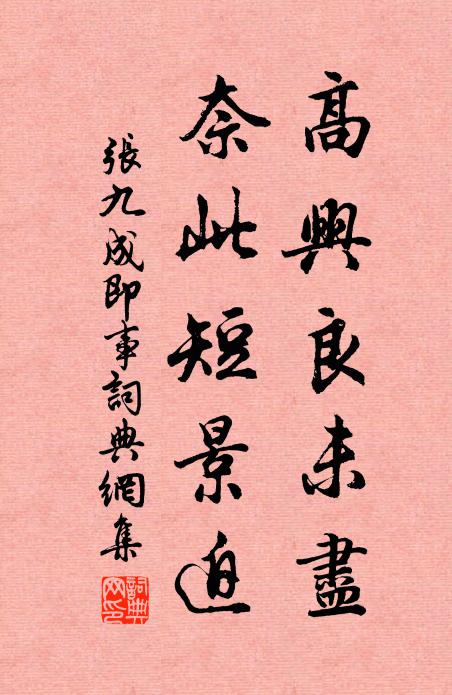张九成高兴良未尽，奈此短景迫书法作品欣赏