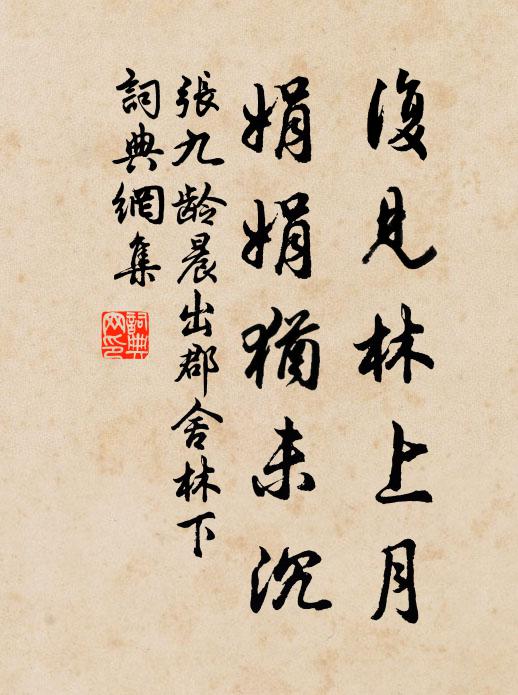 张九龄复见林上月，娟娟犹未沉书法作品欣赏