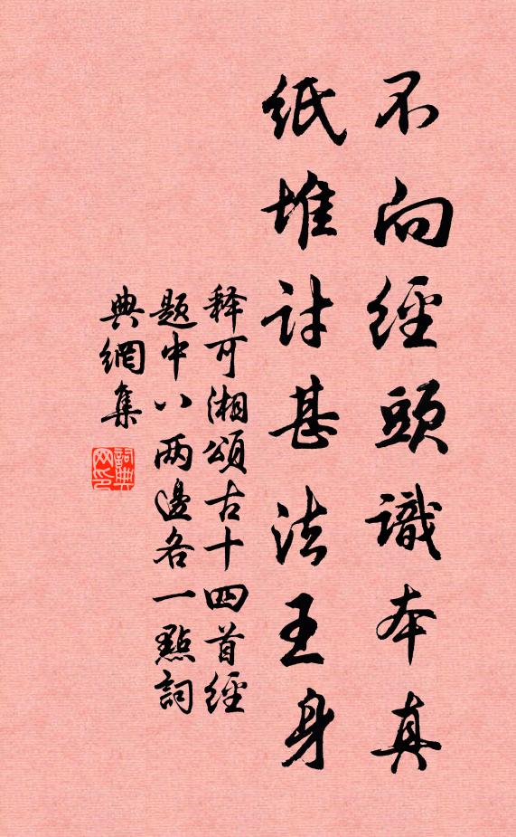 释可湘不向经头识本真，纸堆讨甚法王身书法作品欣赏