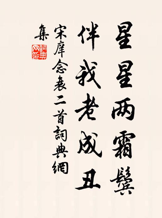 宋庠星星两霜鬓，伴我老成丑书法作品欣赏