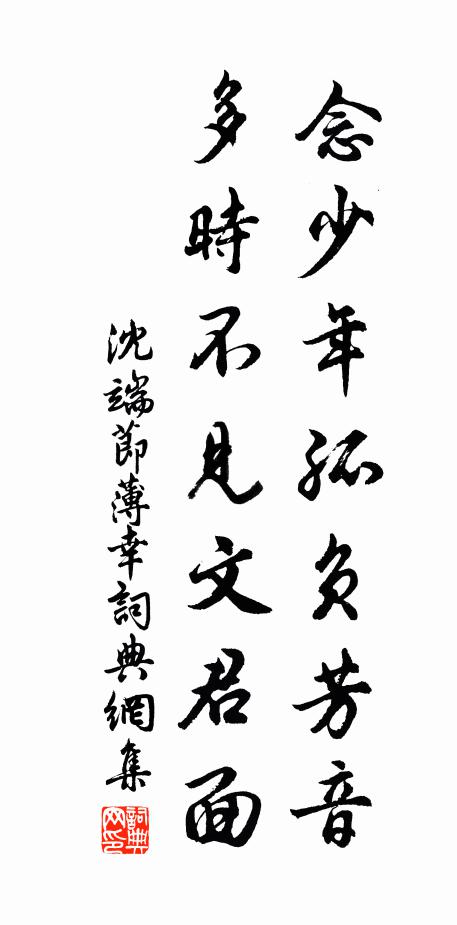 沈端节念少年孤负芳音，多时不见文君面书法作品欣赏