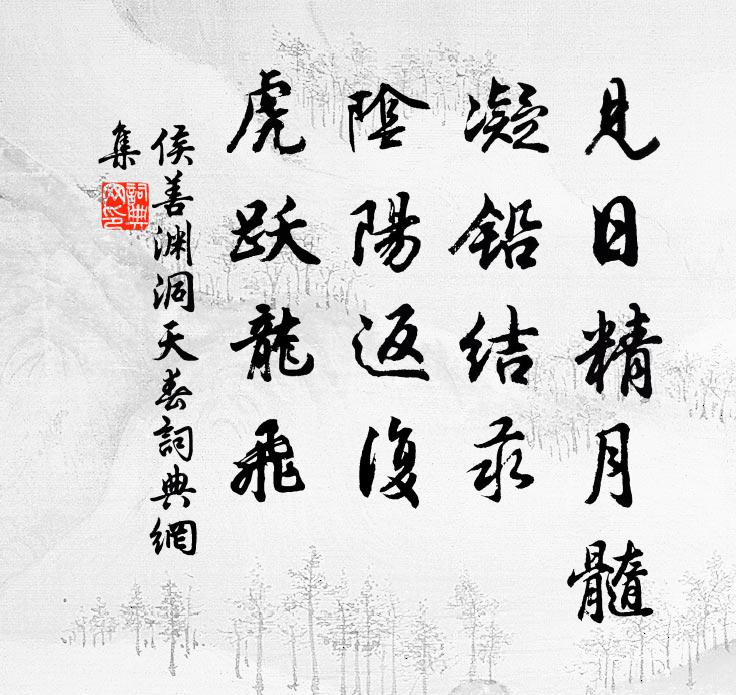 侯善渊见日精月髓，凝铅结汞，阴阳返复，虎跃龙飞书法作品欣赏