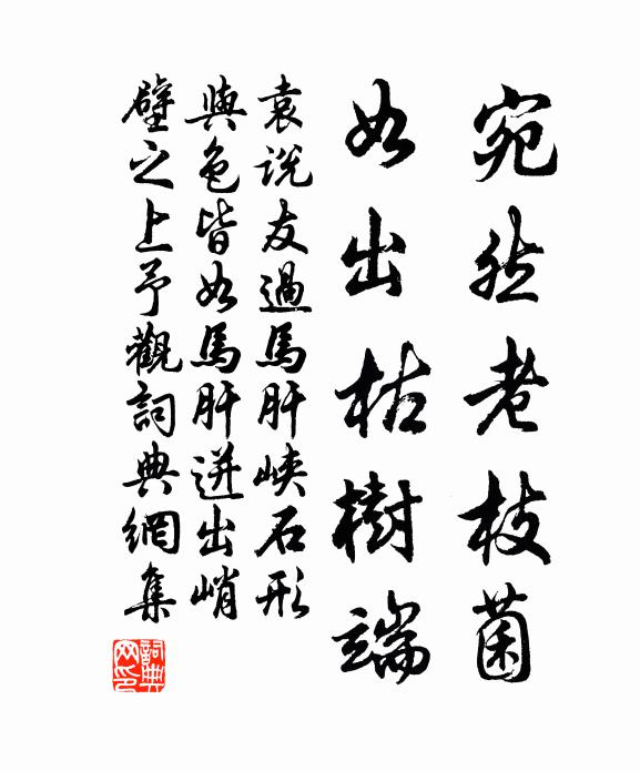 袁说友宛然老枝菌，如出枯树端书法作品欣赏