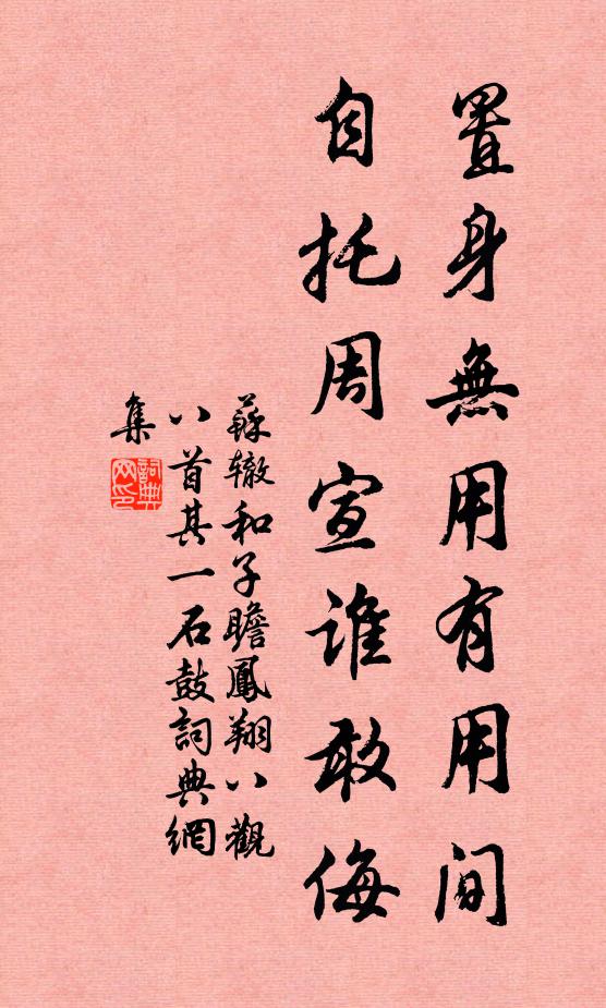 苏辙置身无用有用间，自托周宣谁敢侮书法作品欣赏