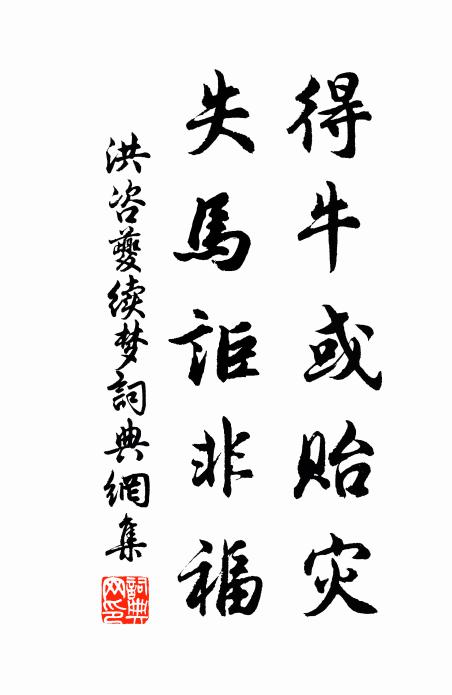 洪咨夔得牛或贻灾，失马讵非福书法作品欣赏