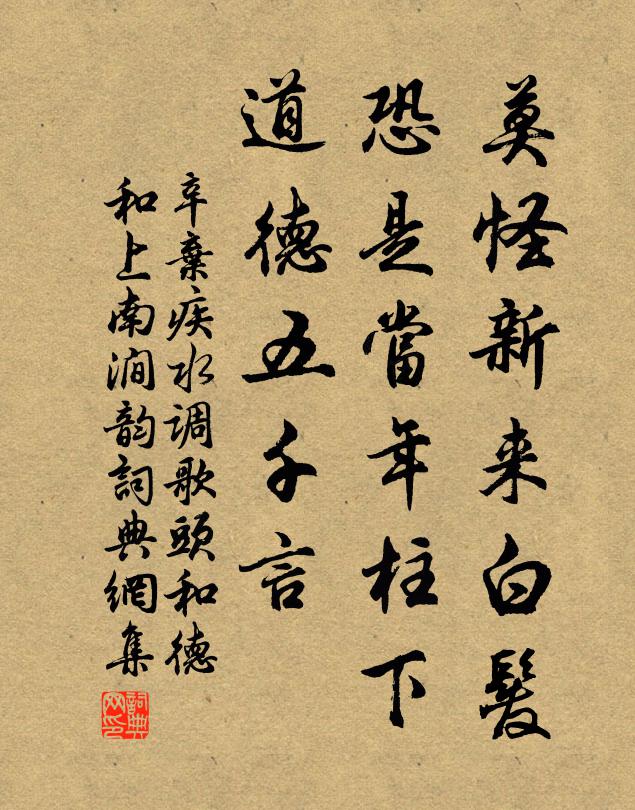 辛弃疾莫怪新来白发，恐是当年柱下，道德五千言书法作品欣赏