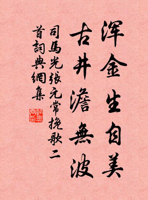 司马光浑金生自美，古井澹无波书法作品欣赏