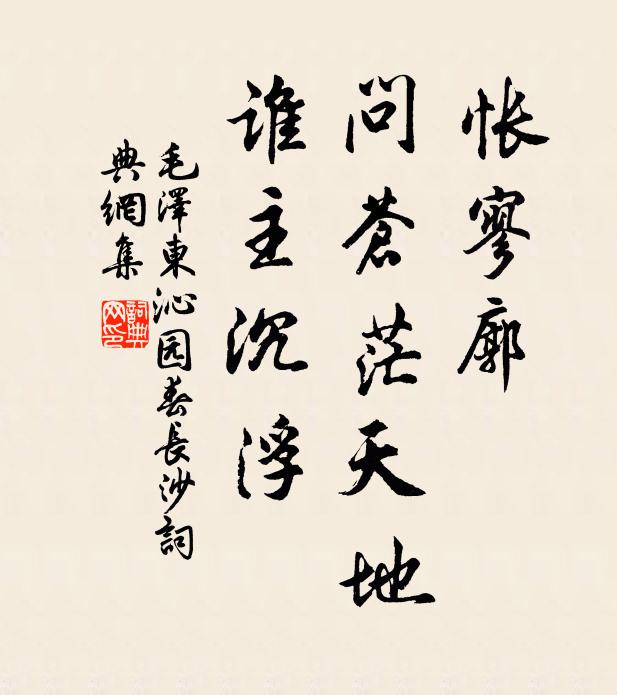 怅寥廓，问苍茫天地，谁主沉浮书法作品欣赏
