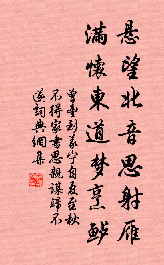 曾丰悬望北音思射雁，满怀东道梦烹鲈书法作品欣赏