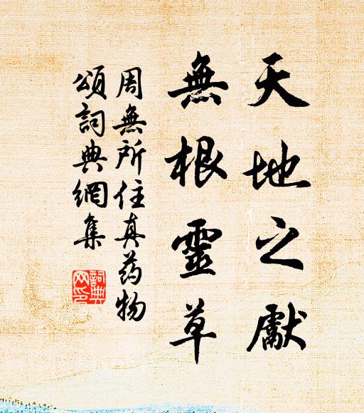 周无所住天地之先，无根灵草书法作品欣赏