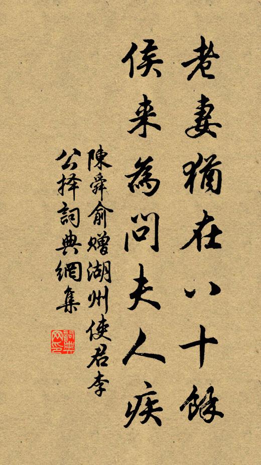 陈舜俞老妻犹在八十馀，侯来为问夫人疾书法作品欣赏