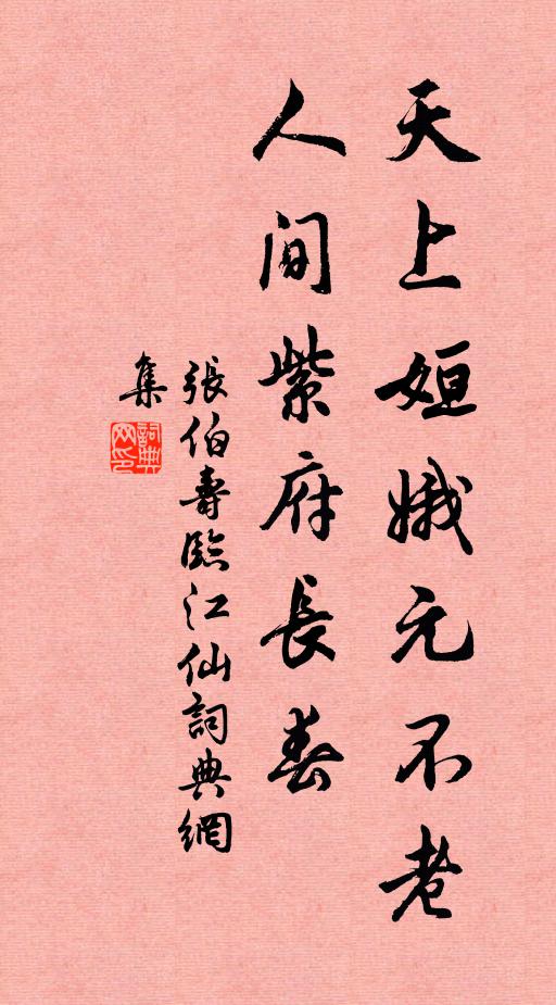 张伯寿天上姮娥元不老，人间紫府长春书法作品欣赏
