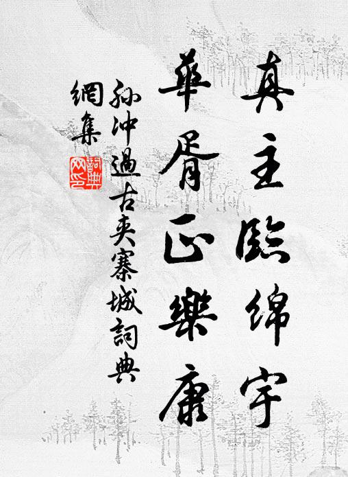 孙冲真主临绵宇，华胥正乐康书法作品欣赏
