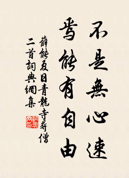 薛能不是无心速，焉能有自由书法作品欣赏