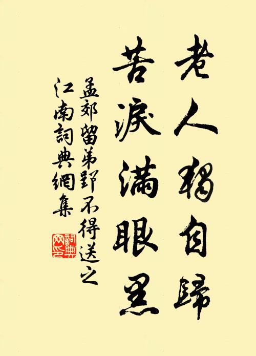 孟郊老人独自归，苦泪满眼黑书法作品欣赏