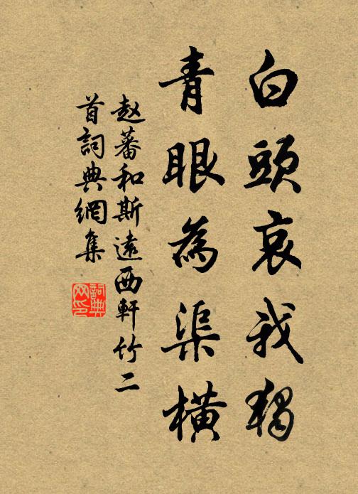 赵蕃白头哀我独，青眼为渠横书法作品欣赏