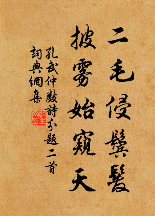 孔武仲二毛侵鬓发，披雾始窥天书法作品欣赏