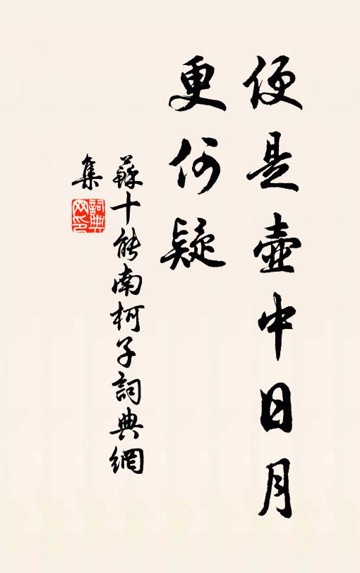 苏十能便是壶中日月、更何疑书法作品欣赏