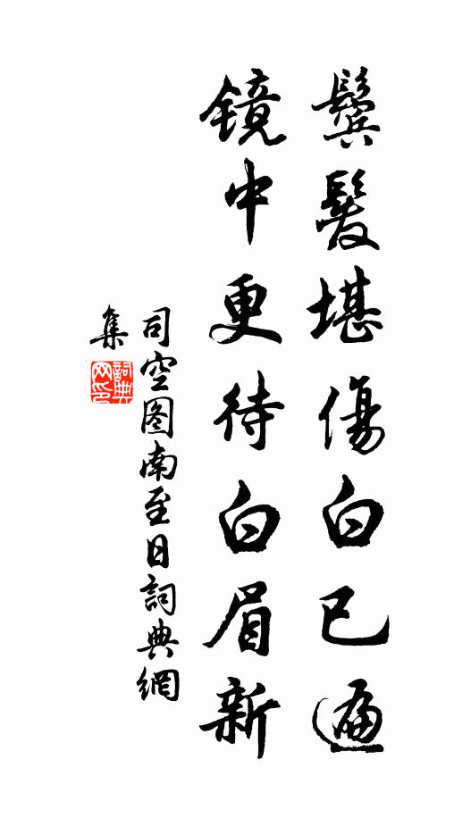司空图鬓发堪伤白已遍，镜中更待白眉新书法作品欣赏