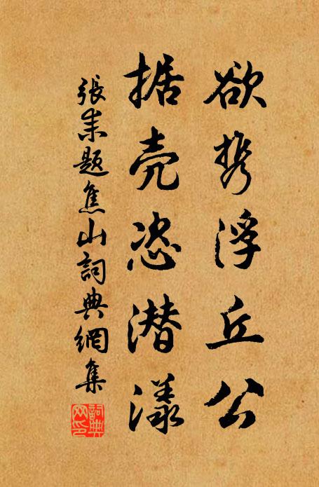 张耒欲携浮丘公,据壳恣潜漾书法作品欣赏