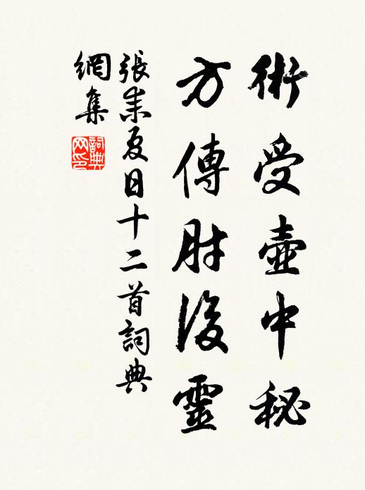 张耒术受壶中秘，方传肘后灵书法作品欣赏