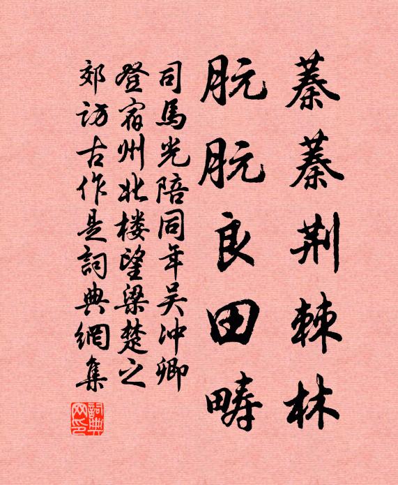 司马光蓁蓁荆棘林,朊朊良田畴书法作品欣赏