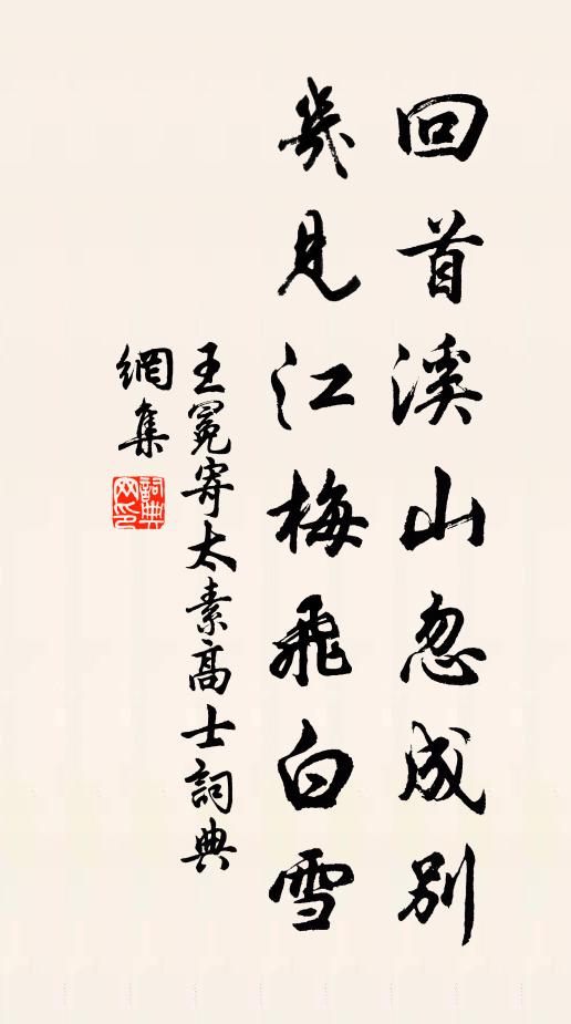王冕回首溪山忽成别，几见江梅飞白雪书法作品欣赏