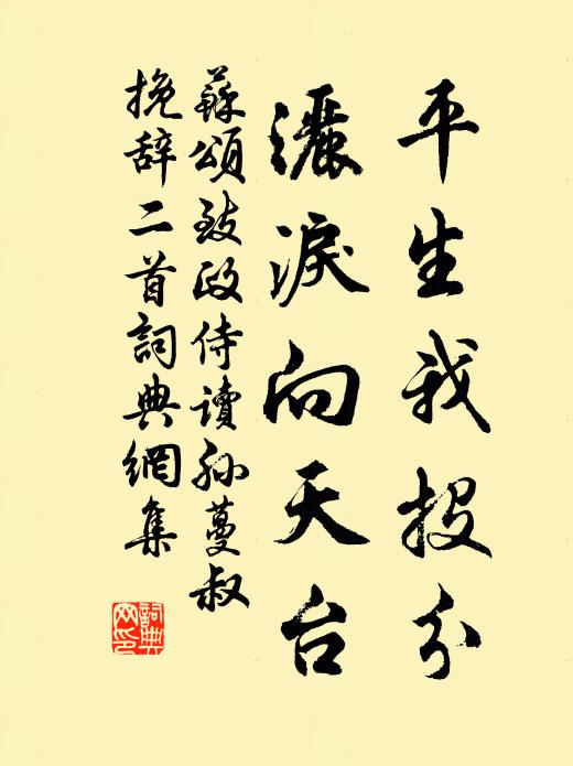 苏颂平生我投分，洒泪向天台书法作品欣赏