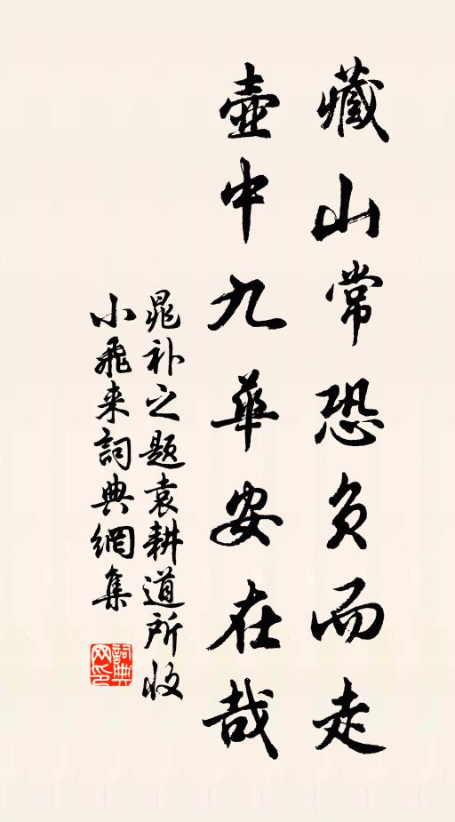 晁补之藏山常恐负而走，壶中九华安在哉书法作品欣赏