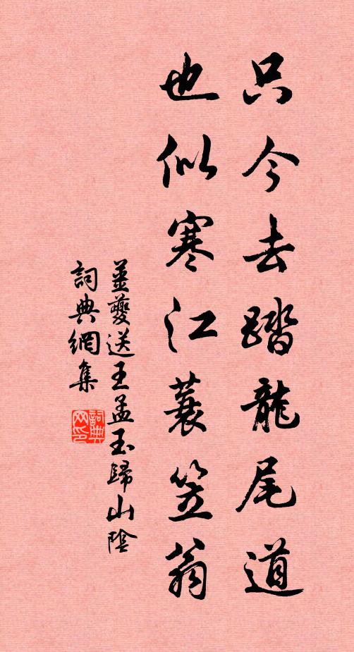 姜夔只今去踏龙尾道，也似寒江蓑笠翁书法作品欣赏