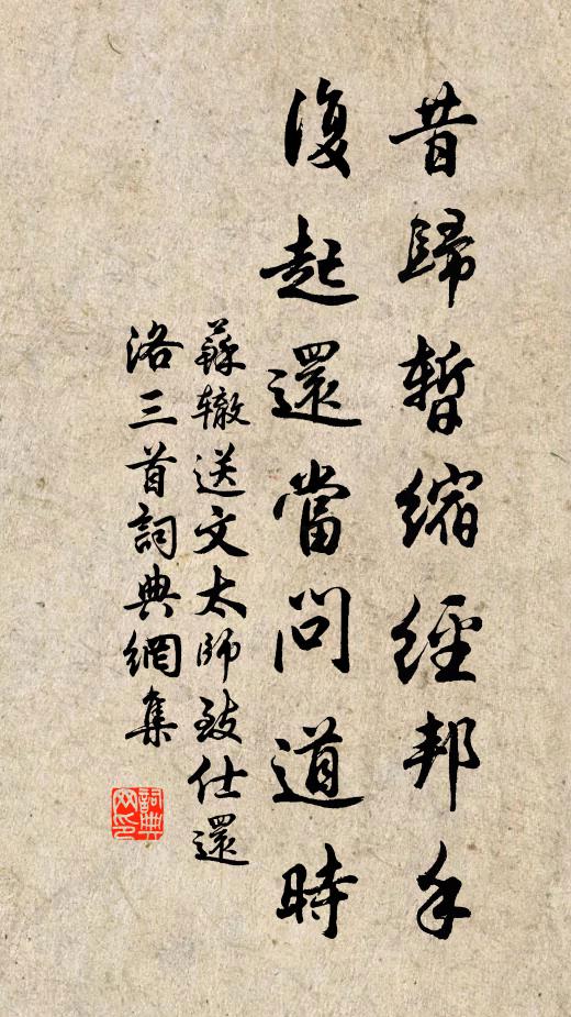 苏辙昔归暂缩经邦手，复起还当问道时书法作品欣赏