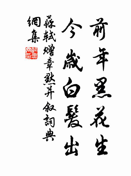苏轼前年黑花生，今岁白发出书法作品欣赏