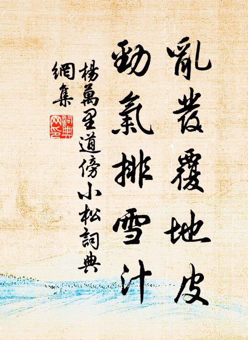 杨万里乱发覆地皮，劲气排雪汁书法作品欣赏